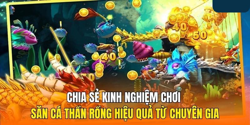 Bí quyết tham gia bắn cá thần rồng của cao thủ